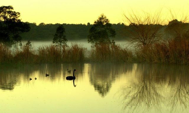 Lago